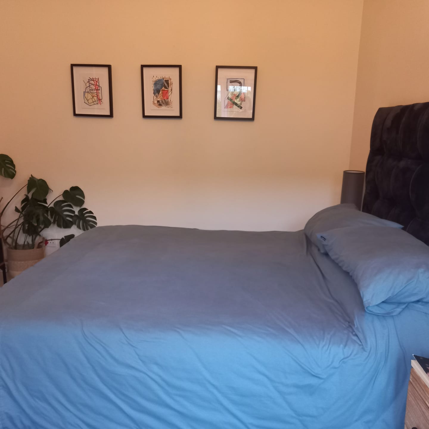 Customer photo review of Duvet Cover Set - Seafoam