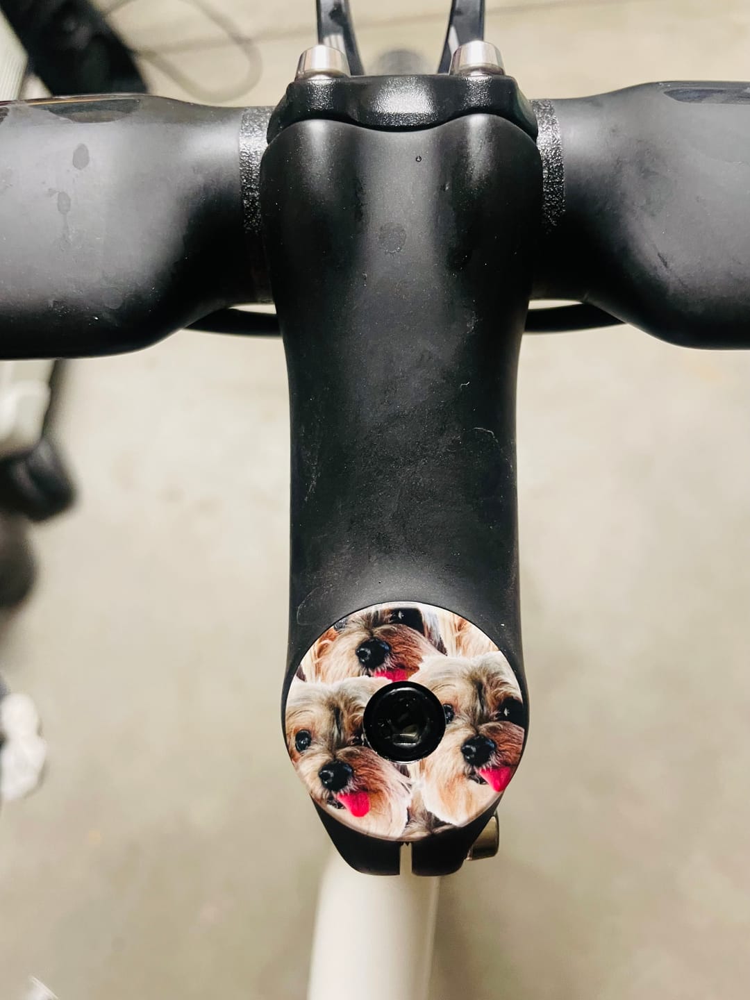 Customer photo review of Custom Topcap