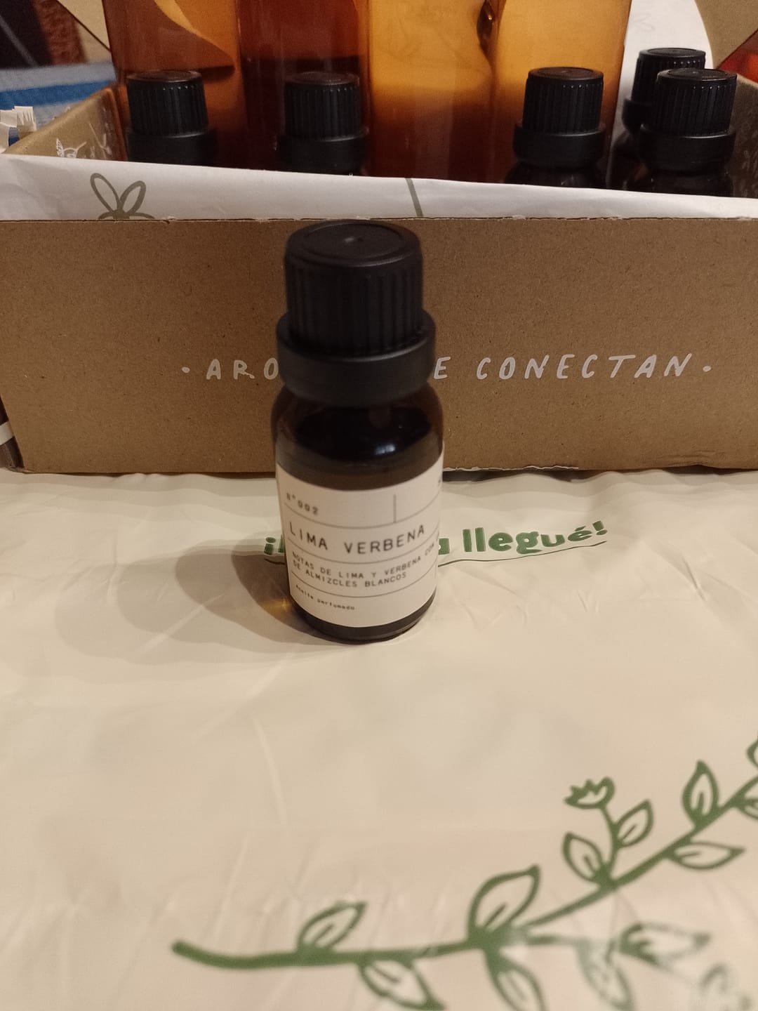 Customer photo review of 2 - Lima Verbena