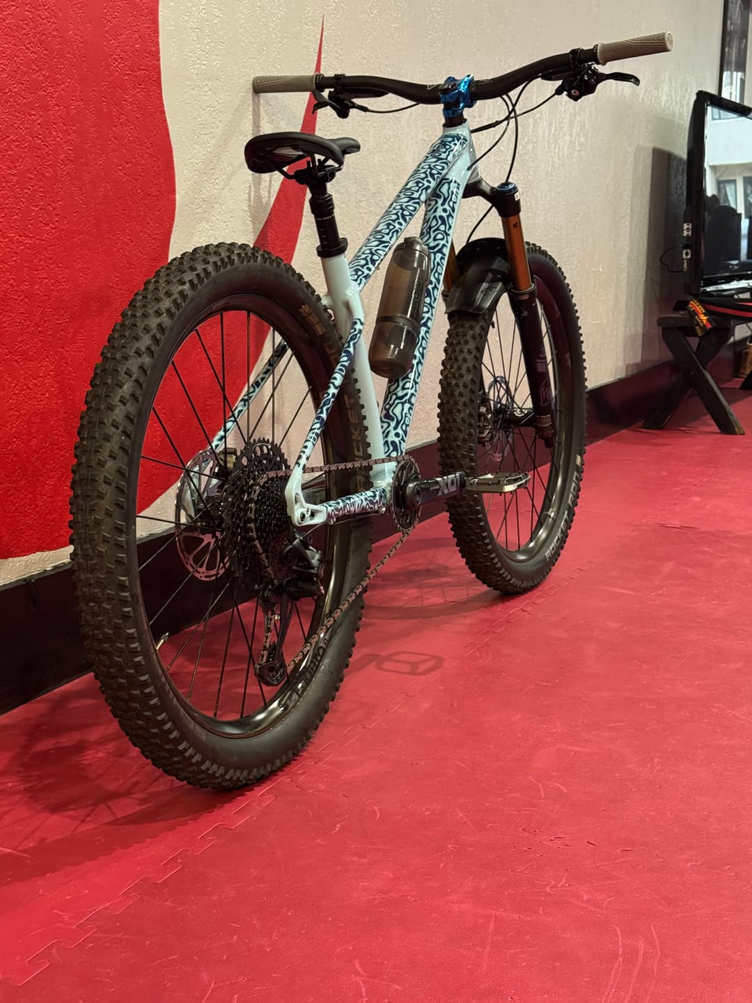 Customer photo review of Snake Charmer Frame Keeper