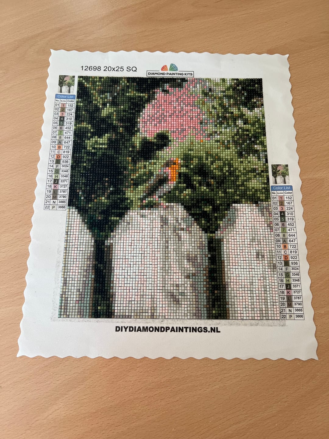Customer photo review of Diamond Painting Eigen Foto