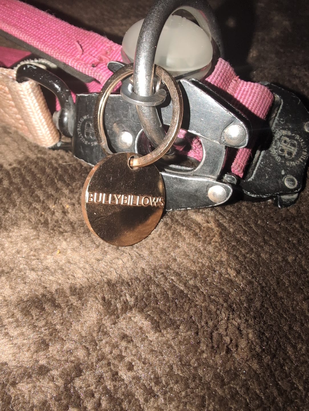 Customer photo review of Dog ID Tag - Rose Gold (With Gift Box)