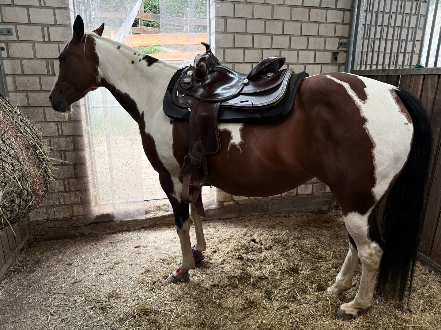 Customer photo review of Kristallkraft Mental Balance