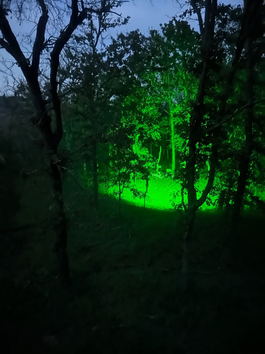 Customer photo review of Solar Green Light for Hunting Hogs Deer,Fish light -15,000lumens