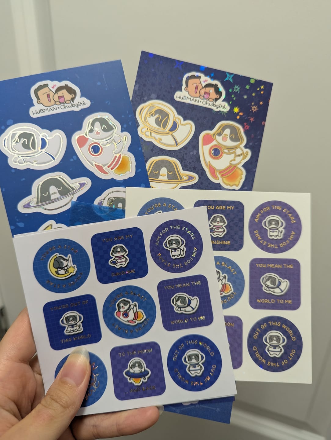 Customer photo review of Blast Off Variety Sticker Pack