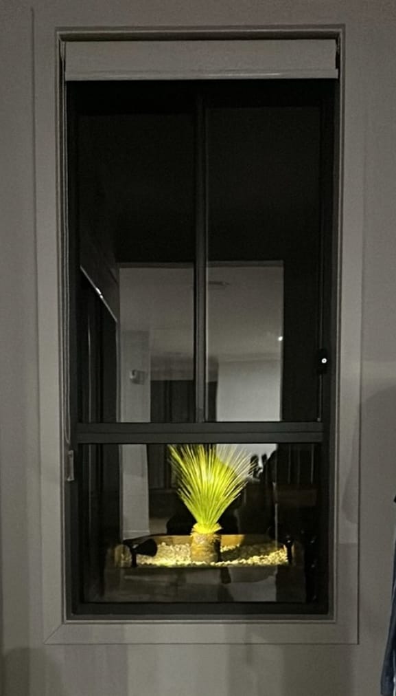 Customer photo review of Solar Ground Spotlights