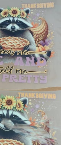 Customer photo review of DTF Transfers Gangsheet Builder