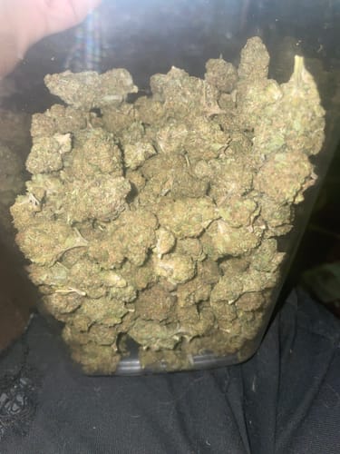 Customer photo review of Cheap THCA Flower Half Pound