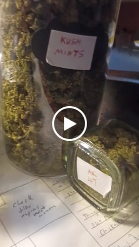 Customer video review of Cheap THCA Smalls Pound