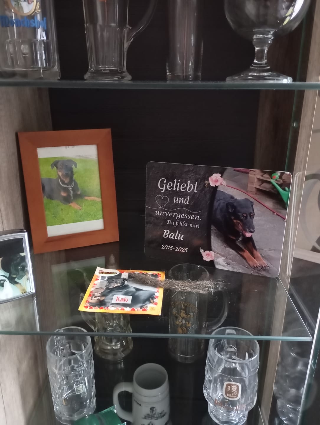 Customer photo review of Hunde Gedenktafel mit Foto & Spruch (UV- & Wetterfest)