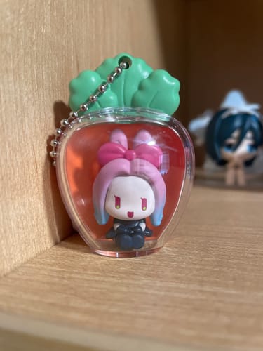 Customer photo review of Alien Stage Rabbit Series Little Cute Radish Blind Box