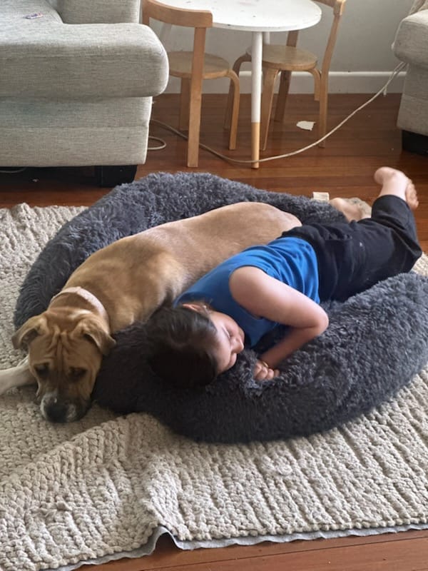 Customer photo review of Brooklyn® Deep Sleep Pet Bed