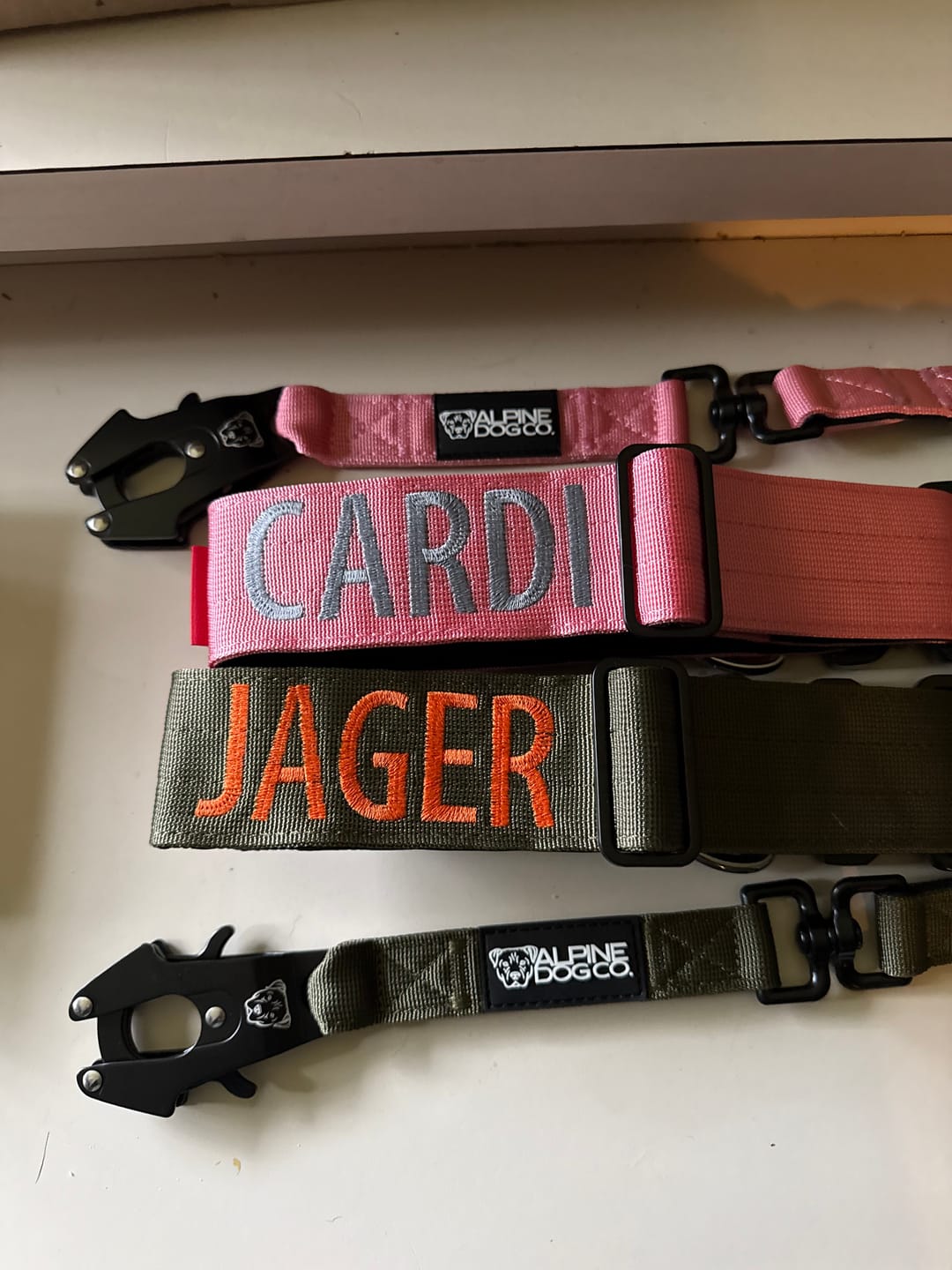 Customer photo review of 2" Tactik Dog Collar - Bubblegum
