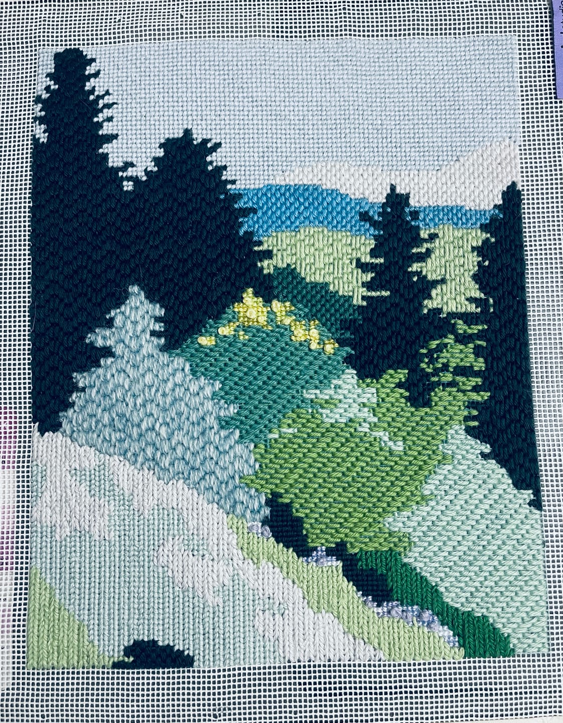 Customer photo review of Mountain Spring Needlepoint Kit