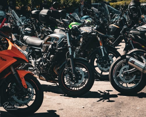 Customer photo review of NORTHBORDERS MEGA PACK