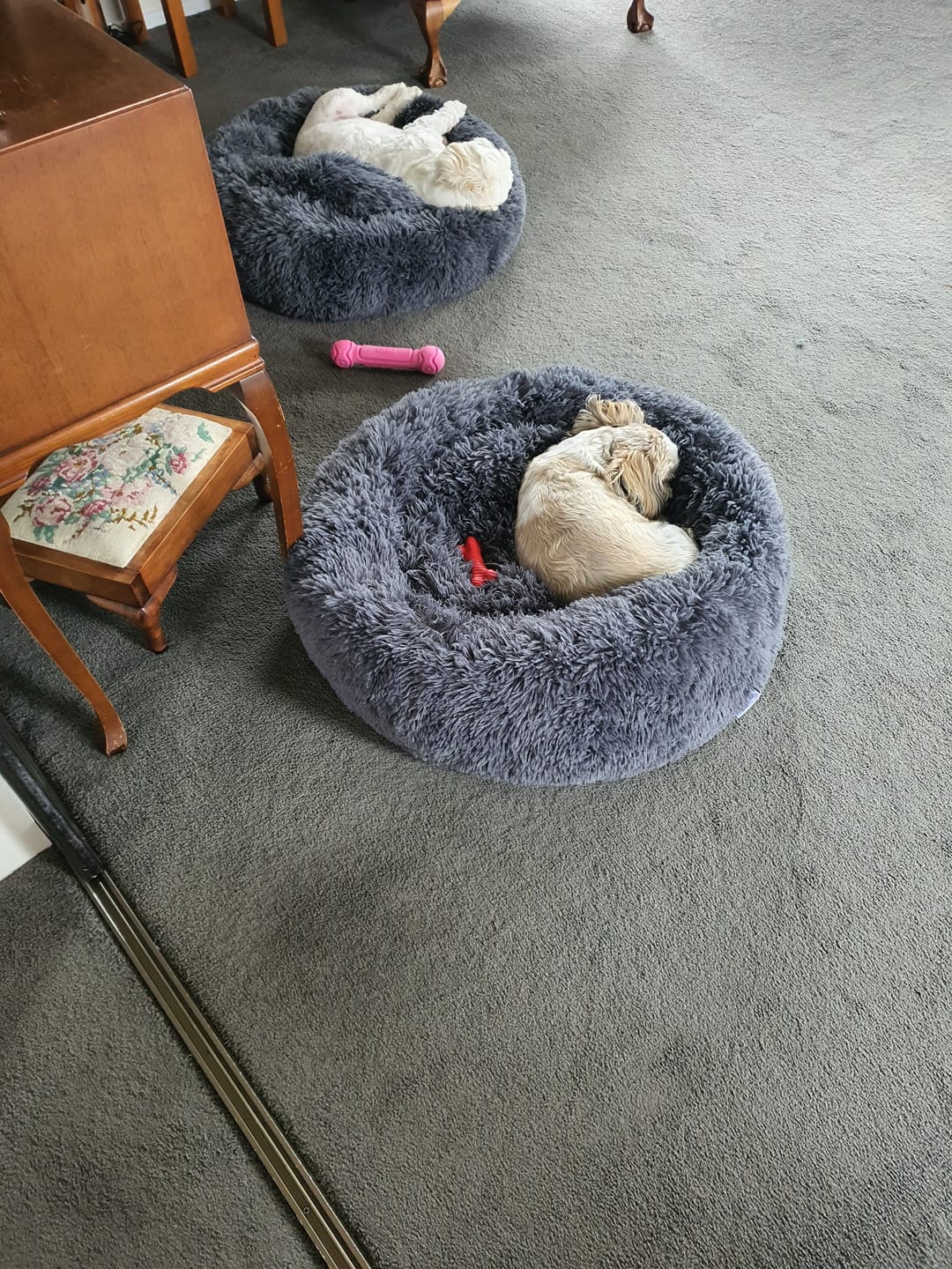 Customer photo review of Brooklyn® Deep Sleep Pet Bed