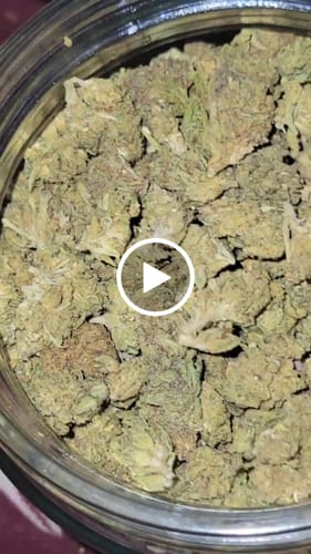 Customer video review of THCA Flower Budget Buds