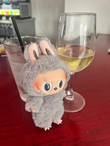 Customer photo review of Shipping Protection