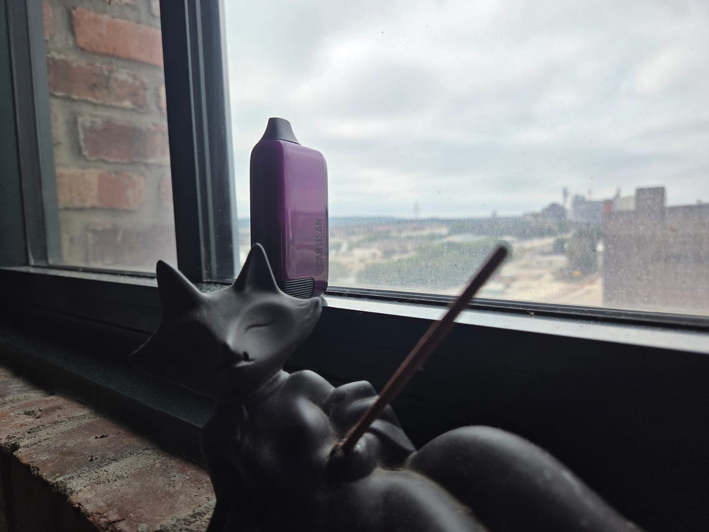 Customer photo review of Veil Bar Pro EVO
