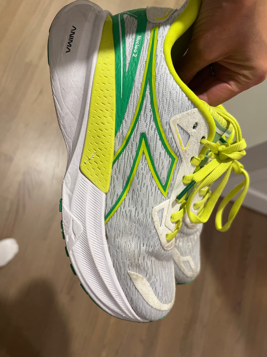Customer photo review of Kaliteas Shoe Laundry Bag