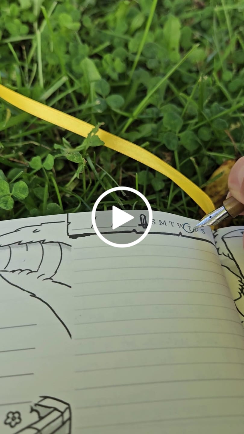 Customer video review of Legend of Istoria