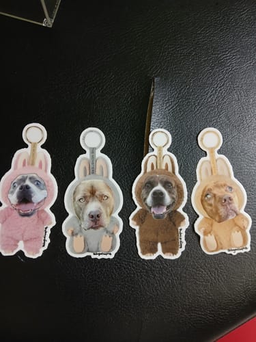 Briyanna E. review of 100 - 3.5" Custom Vinyl Stickers image 1 out of 1