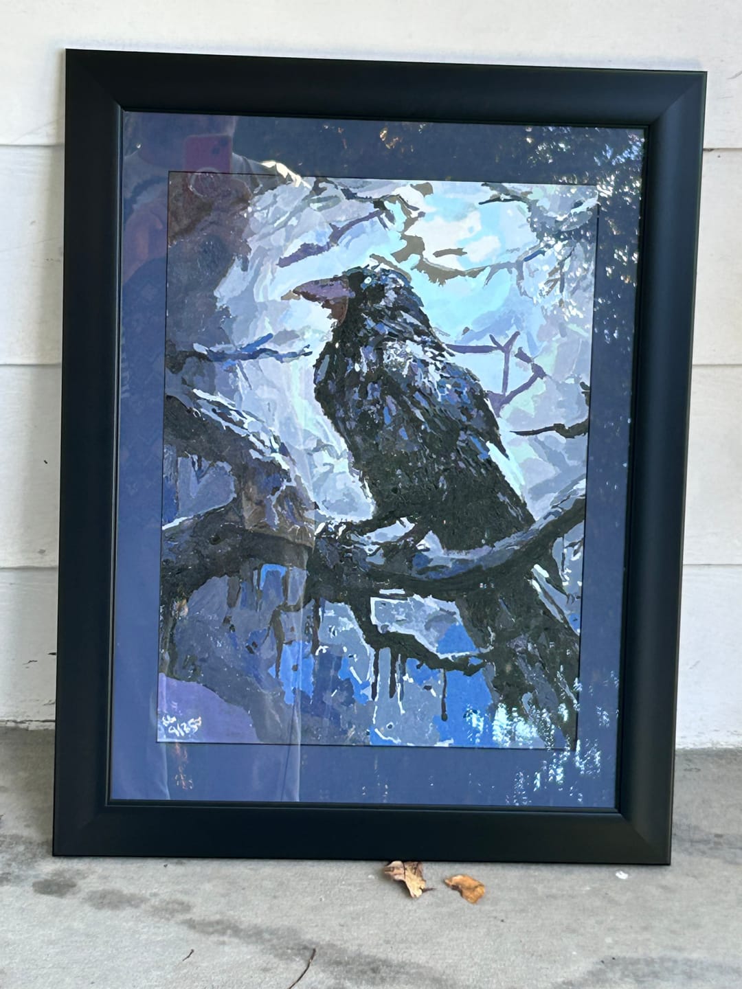Customer photo review of Mysterious Raven