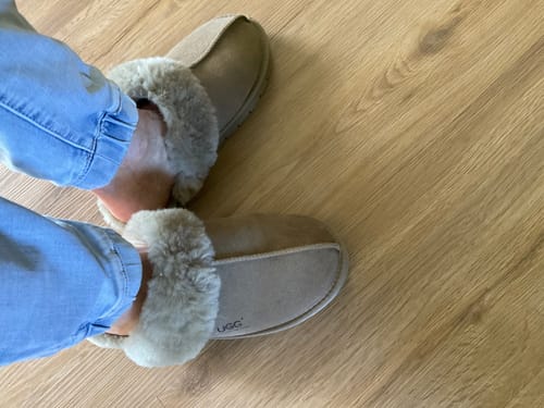 Customer photo review of Australian Shepherd UGG® Australia Premium Sheepskin Unisex Muffin Scuff #15564