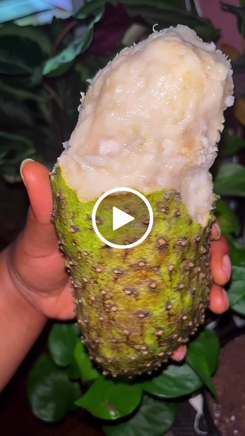 Customer video review of Premium Soursop (Guanabana)