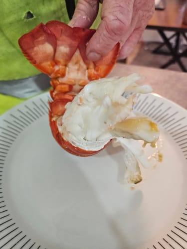 Customer photo review of Live NZ Red Crayfish