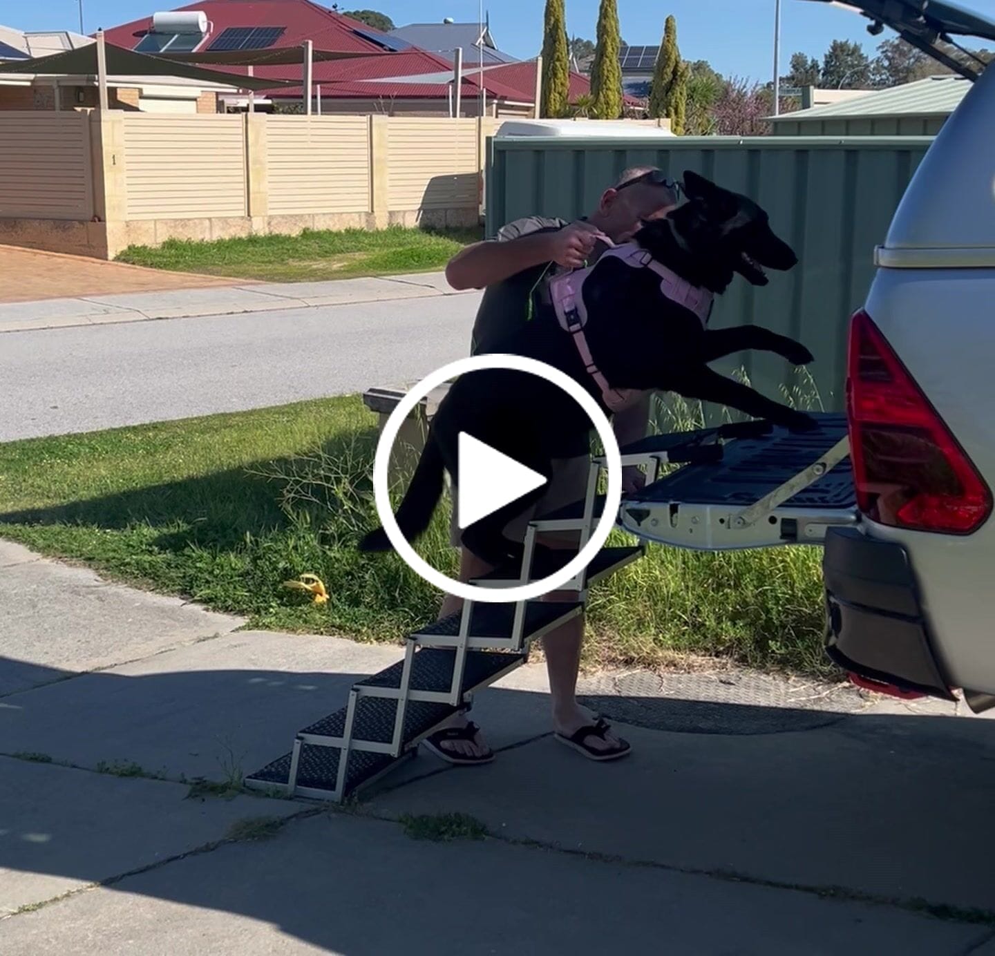 Customer video review of Foldable Aluminum Pet Steps