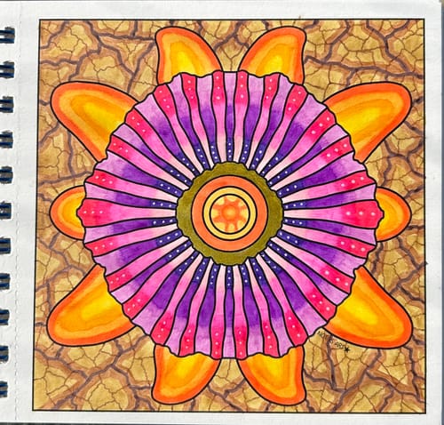 Customer photo review of ELEMENTOS (KIT DE LANZAMIENTO)