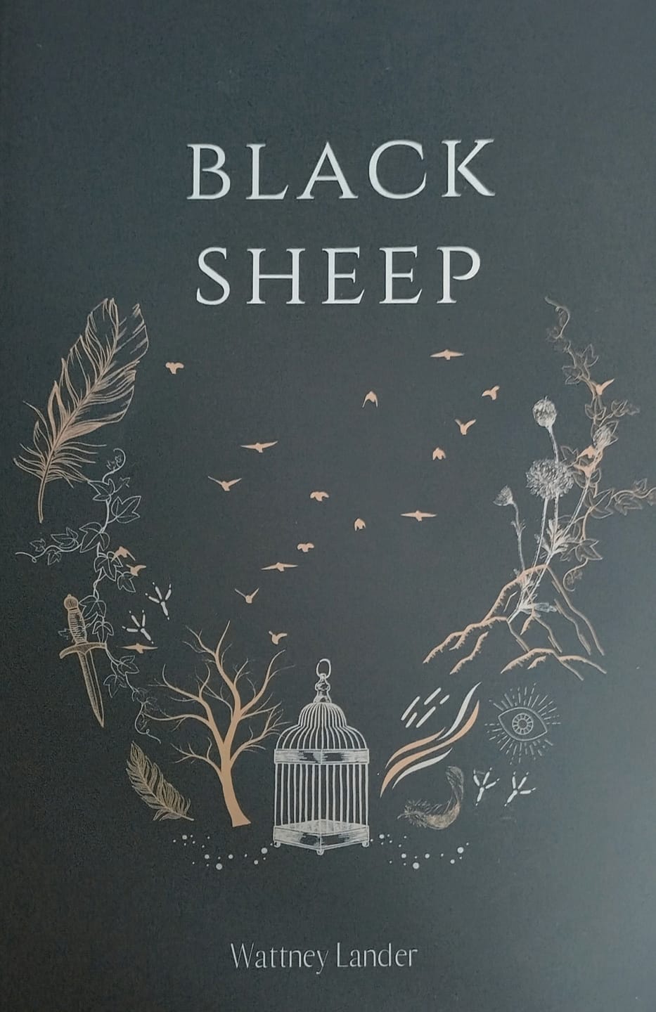Customer photo review of Black Sheep