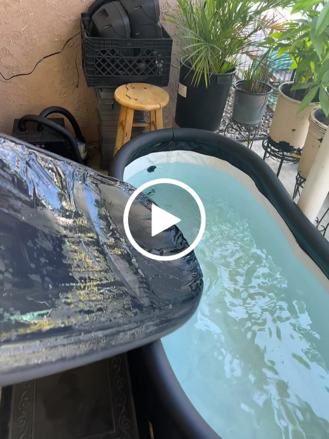 Customer video review of Insulated LongPod Lid