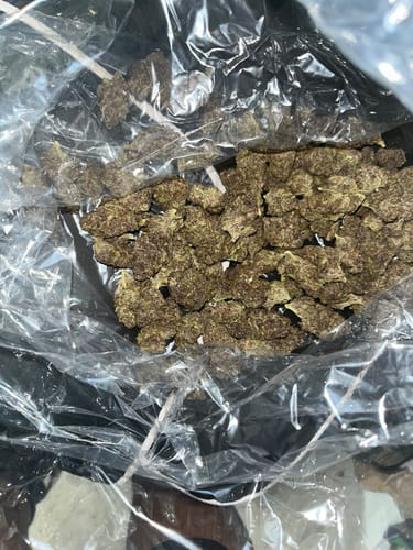 Customer photo review of Purple Cookies - Bulk - Hybrid