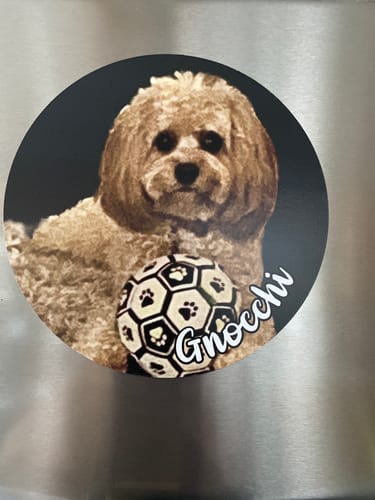 Customer photo review of Your photo - Personalized Car Magnet