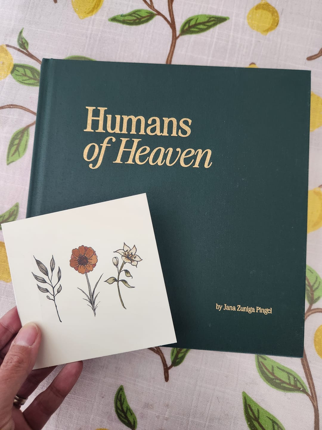 Customer photo review of Humans of Heaven