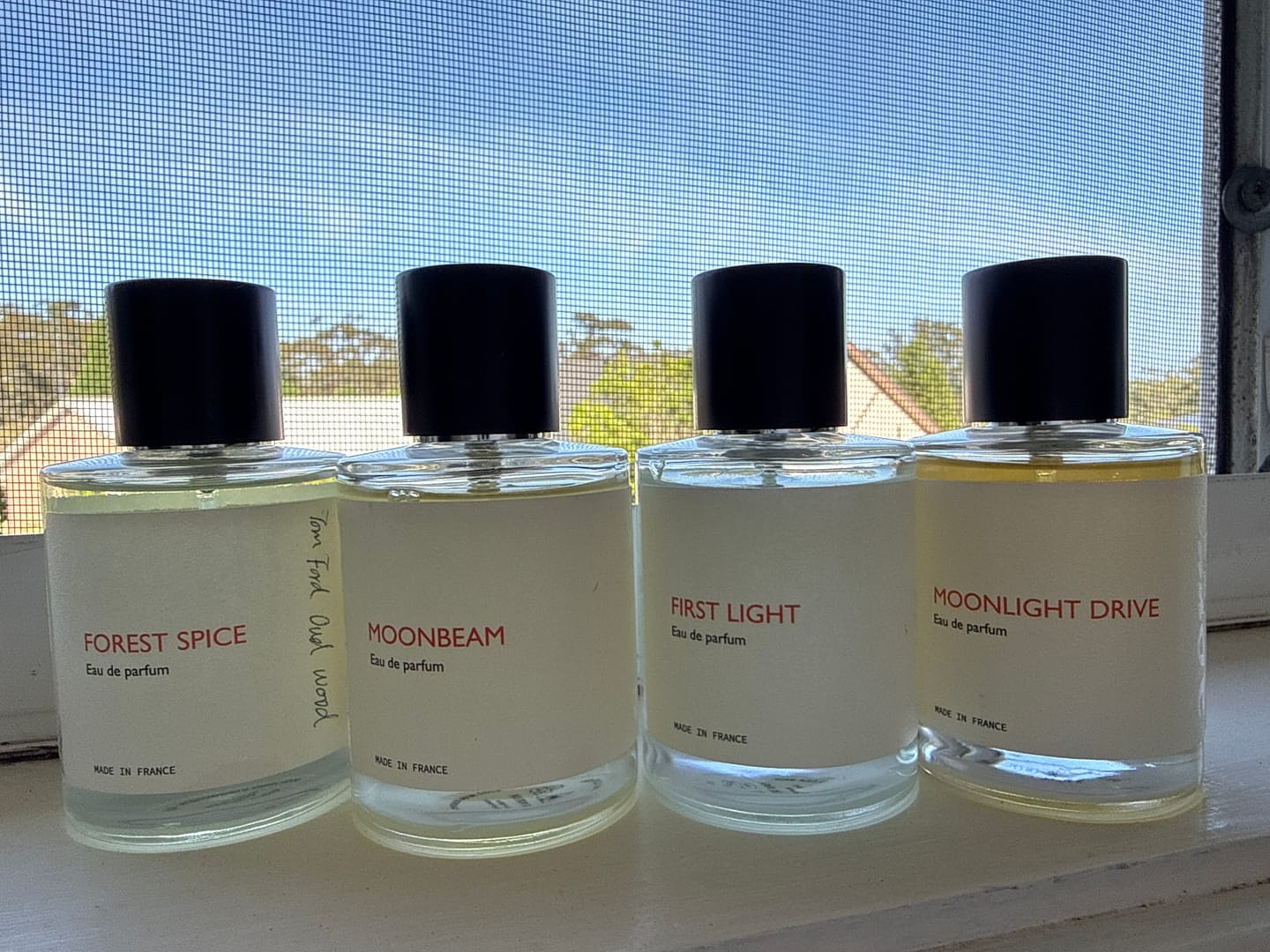 Customer photo review of First Light