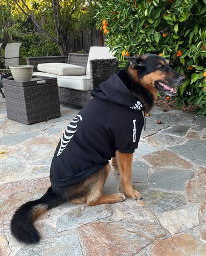 Customer photo review of Halloween Dog Hoodie - Reflective Skeleton