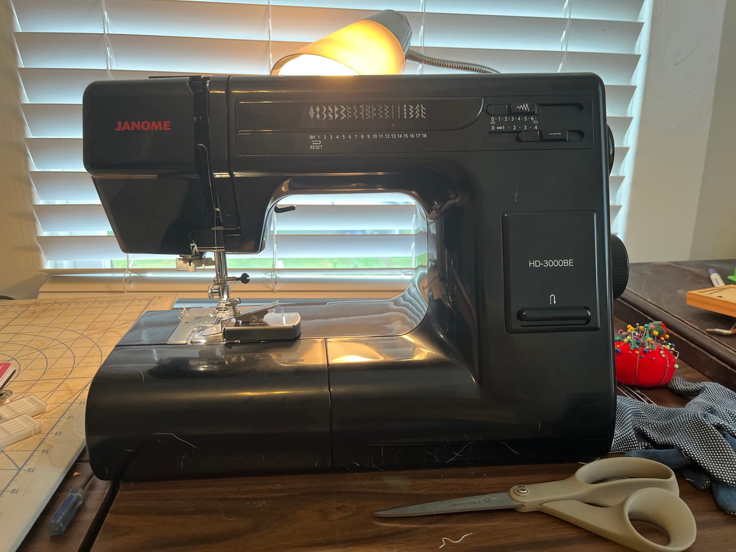 Customer photo review of Janome HD3000 Black Edition Heavy Duty Sewing Machine