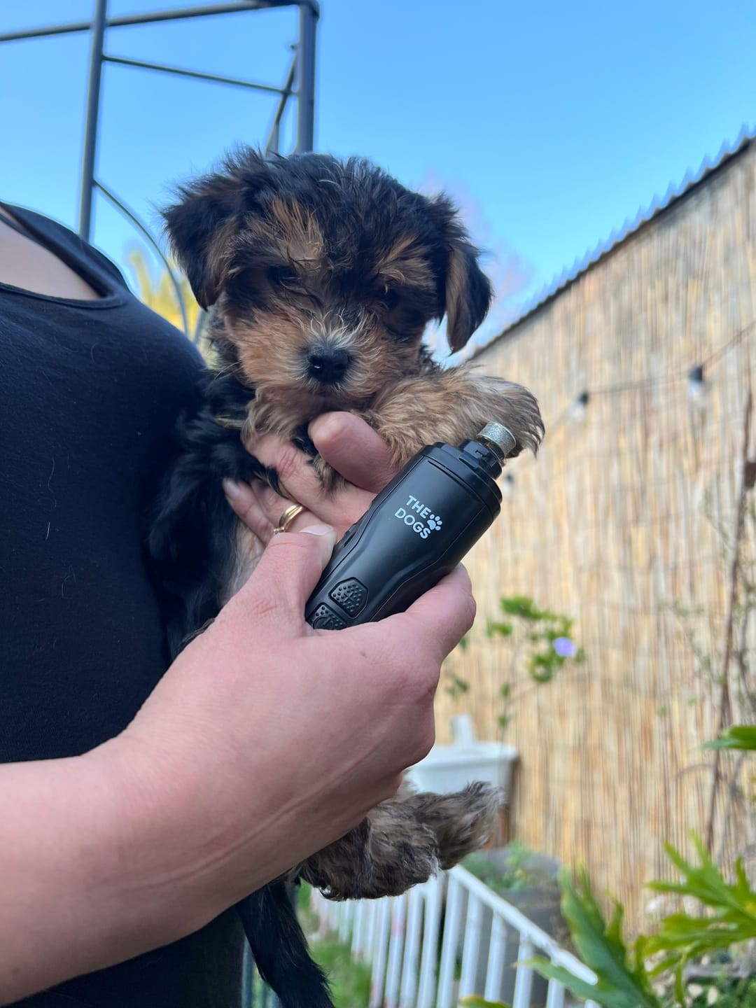 Customer photo review of THE DOGS NAILS — Limador Diamond Pro