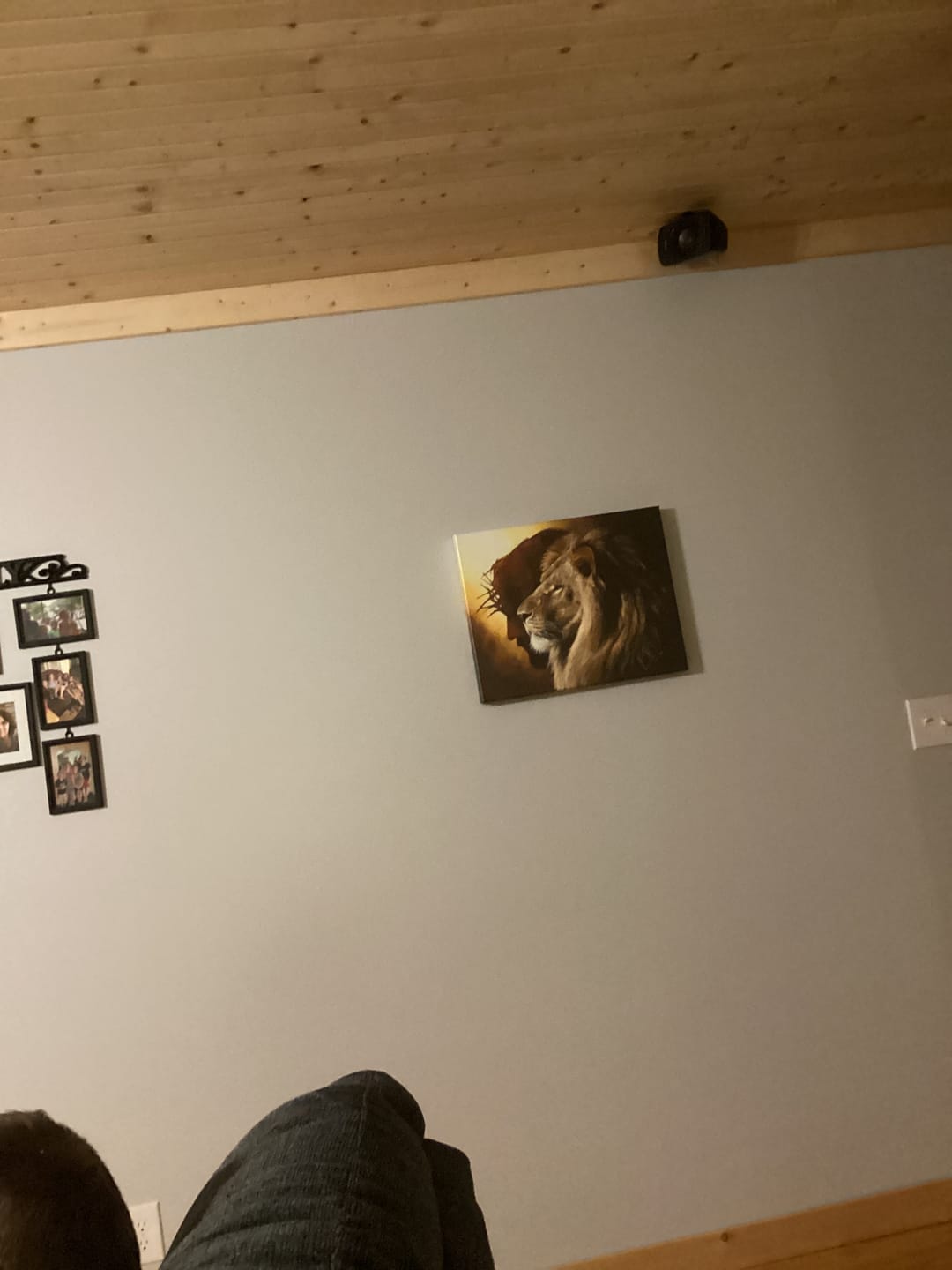Customer photo review of The Lion of Judah