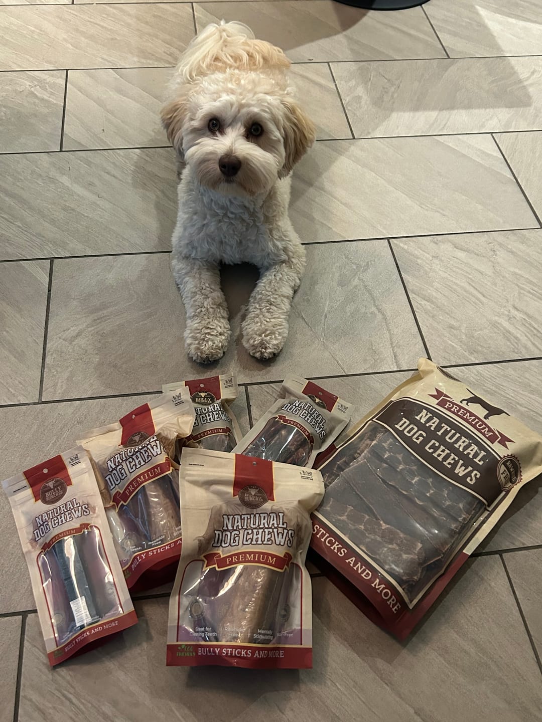 Customer photo review of 6 Inch Braided Jerky Stick