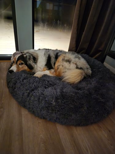 Customer photo review of CalmBed - Motverkar stress & hjälper mot ångest