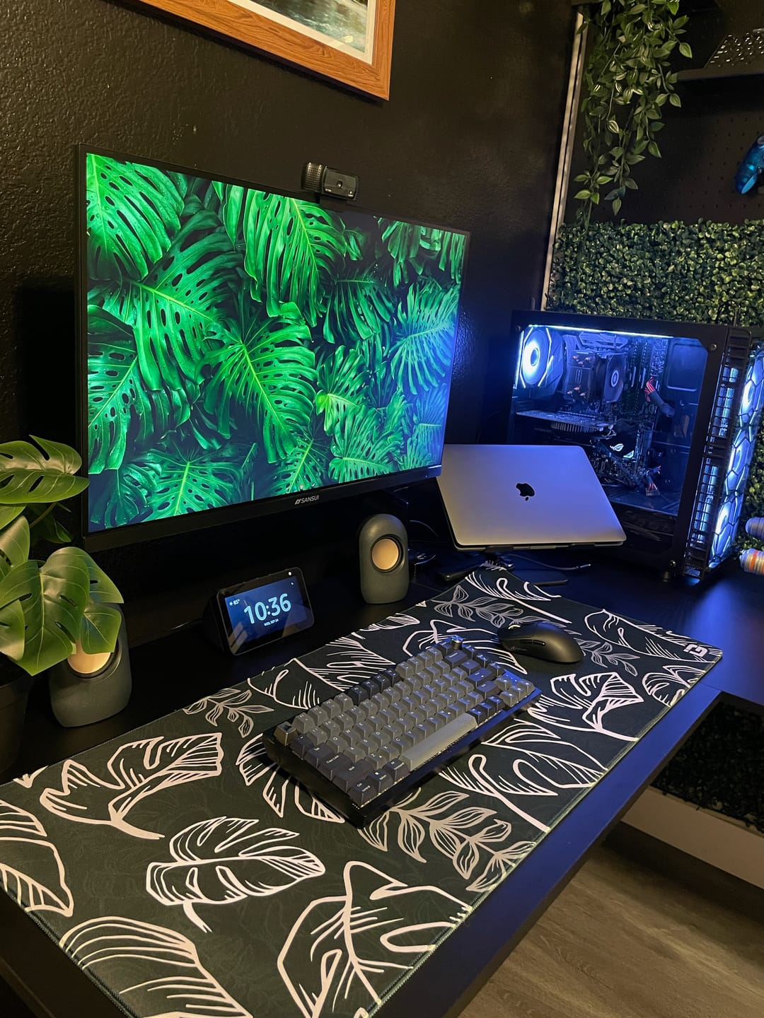 Customer photo review of Tropical Black