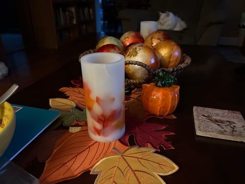 Customer photo review of Orange Cat-kin Pumpkin