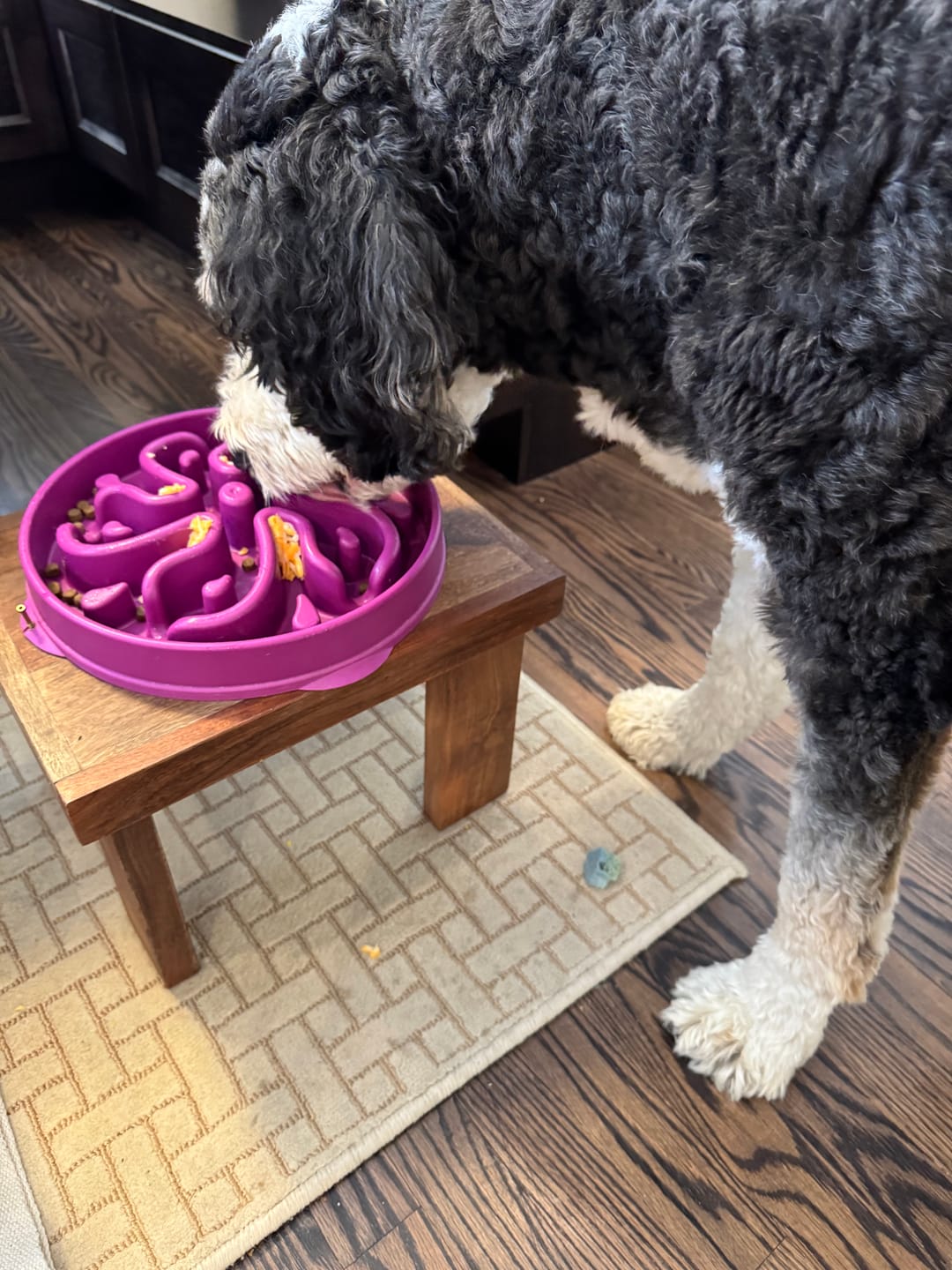 Customer photo review of Blueberry Himalayan Yak Chew (MEDIUM)