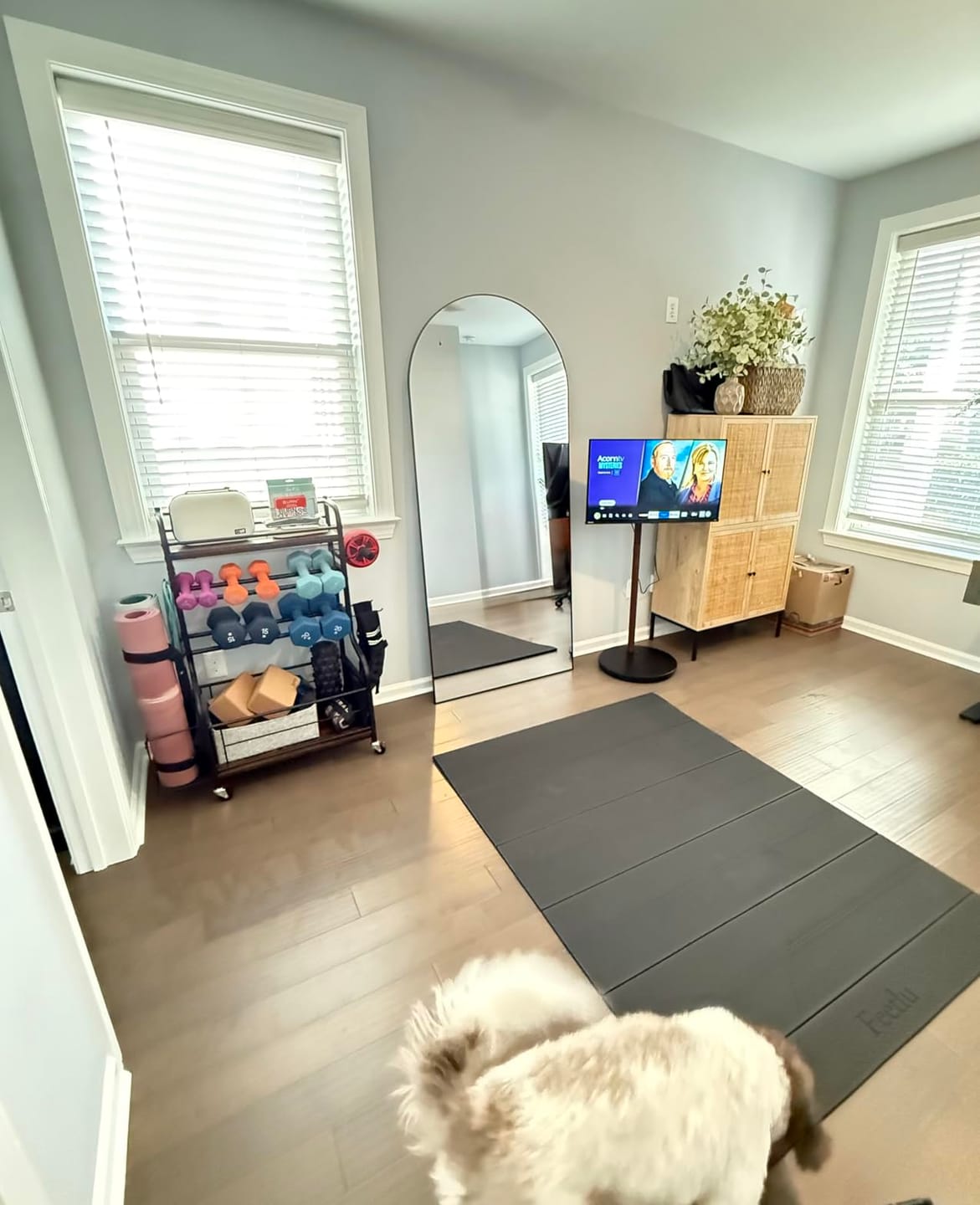Customer photo review of Master V2 FT65 TV Stand