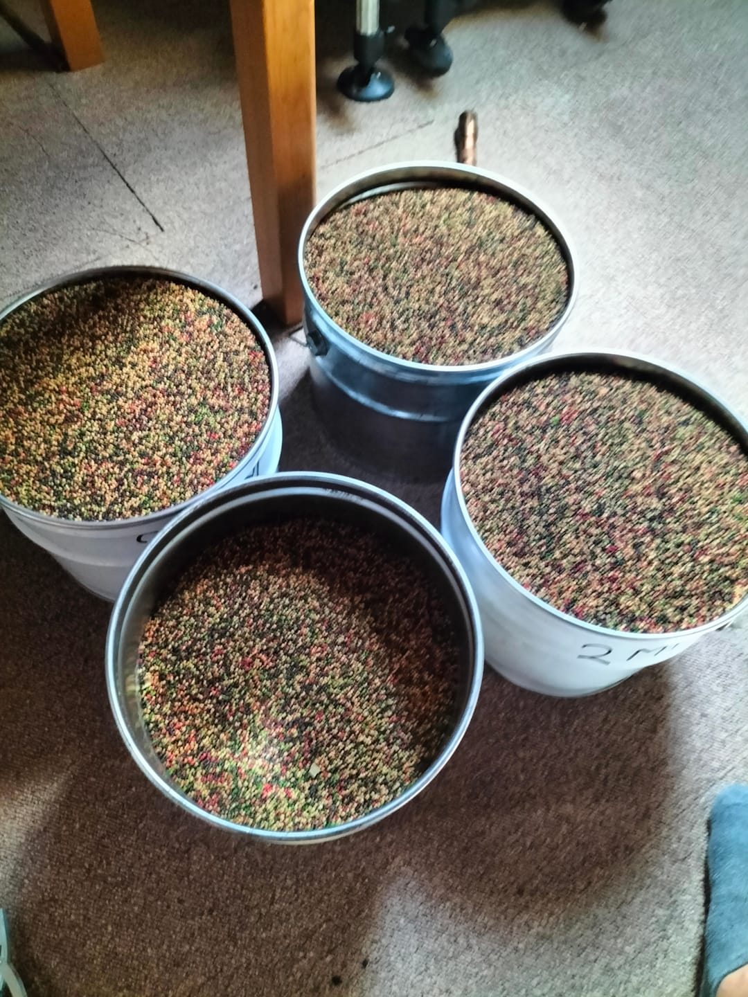 Customer photo review of PREMIUM SELECT (BLACK HALIBUT) - ALLTECH COPPENS