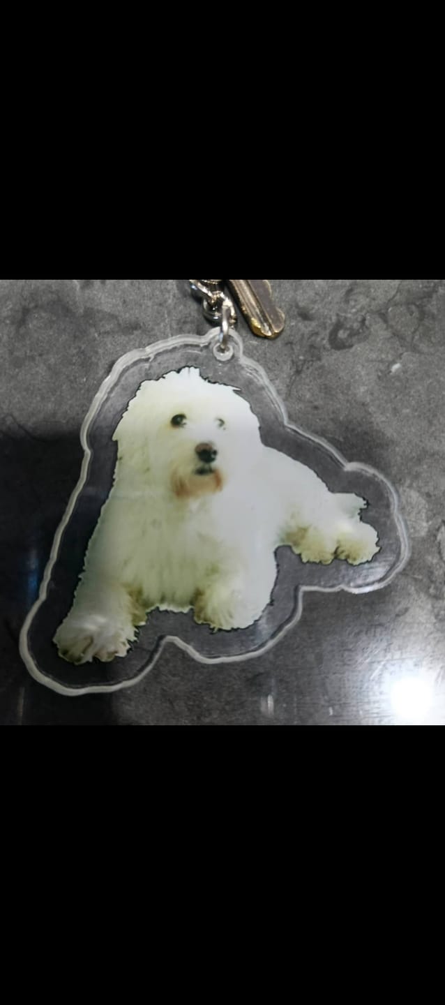 Customer photo review of 😻 Llavero Con Forma Personalizado